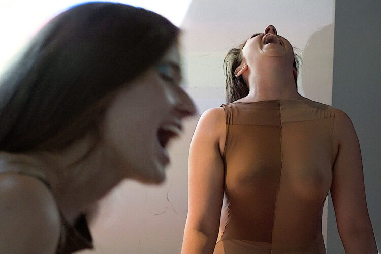 presentació de la performance 