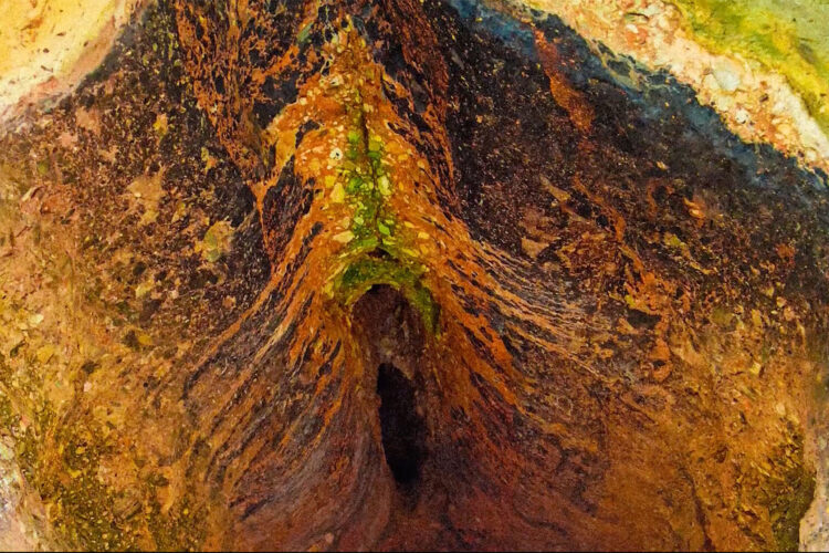 vídeo-performance del projecte 