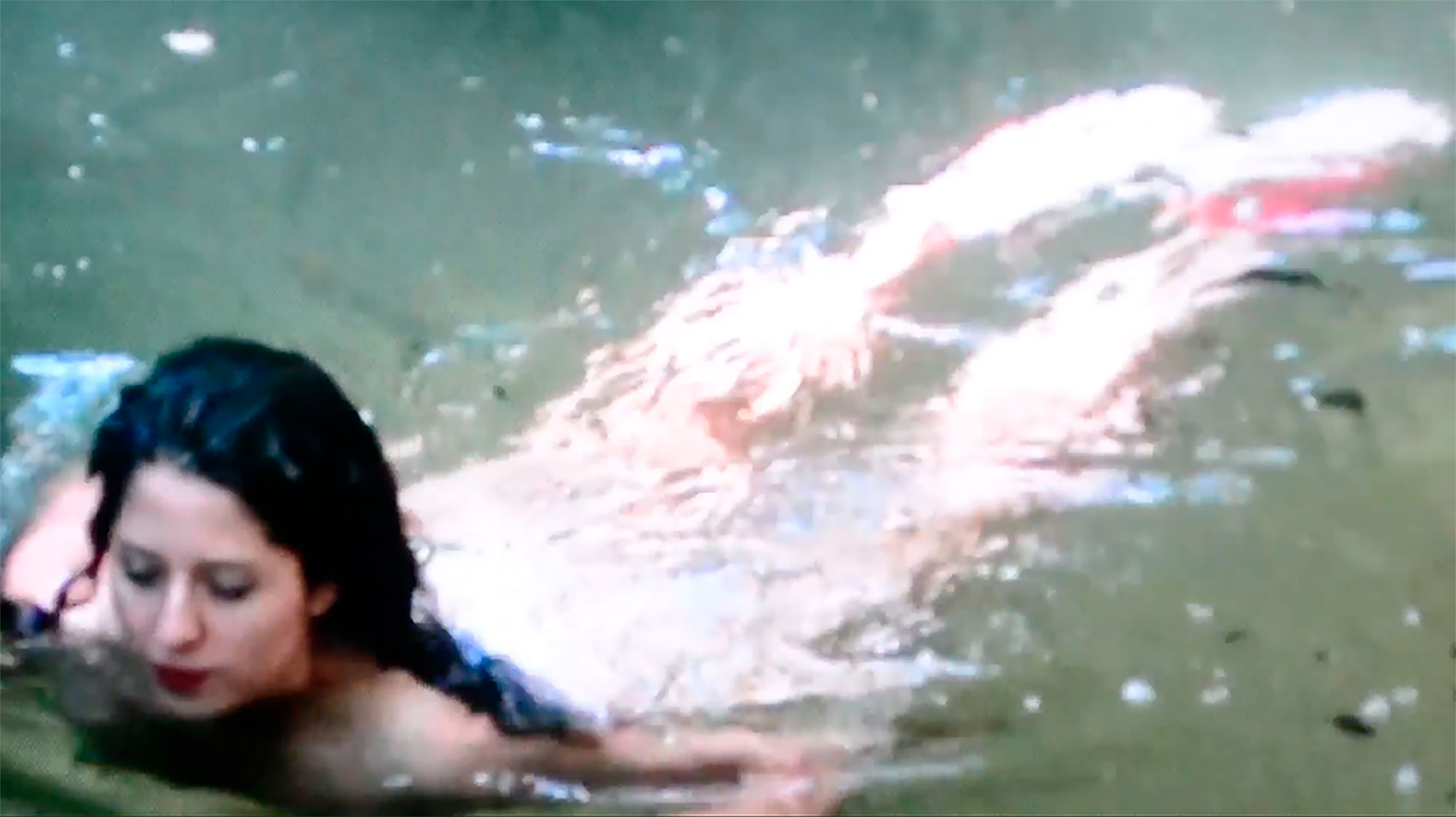 vídeo-performance del projecte 