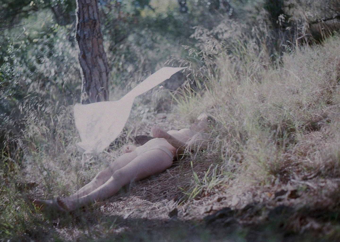 performance de teresa w ･*:｡.｡:*･゜ﾟ･*, fotografia de Valeria Aristizabal